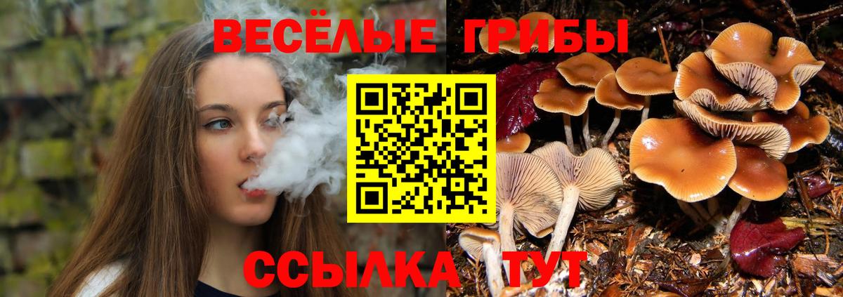 Галлюциногенные грибы MAGIC MUSHROOMS Ростов Великий