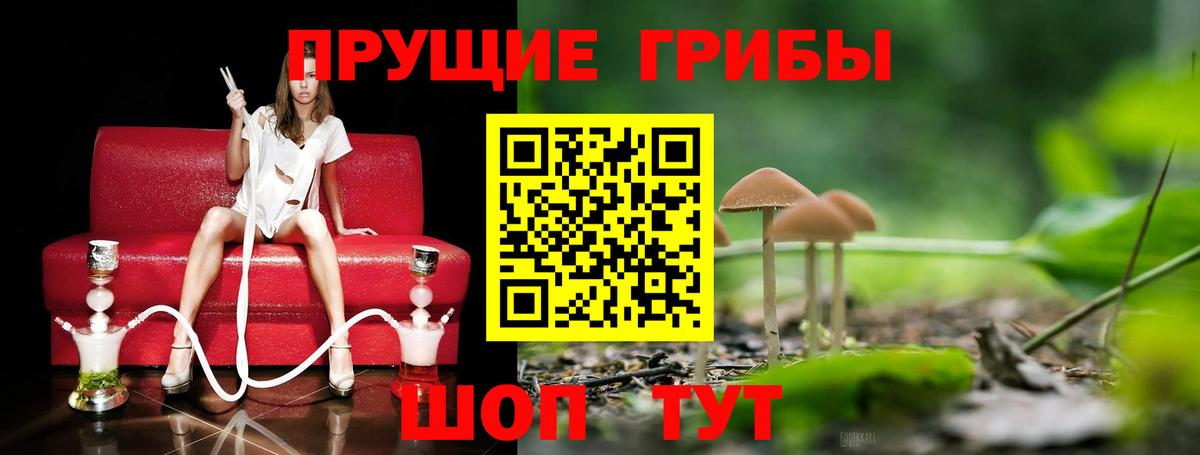 Псилоцибиновые грибы MAGIC MUSHROOMS  Вход с VPN  Псилоцибиновые грибы GOLDEN TEACHER  Ростов Великий 